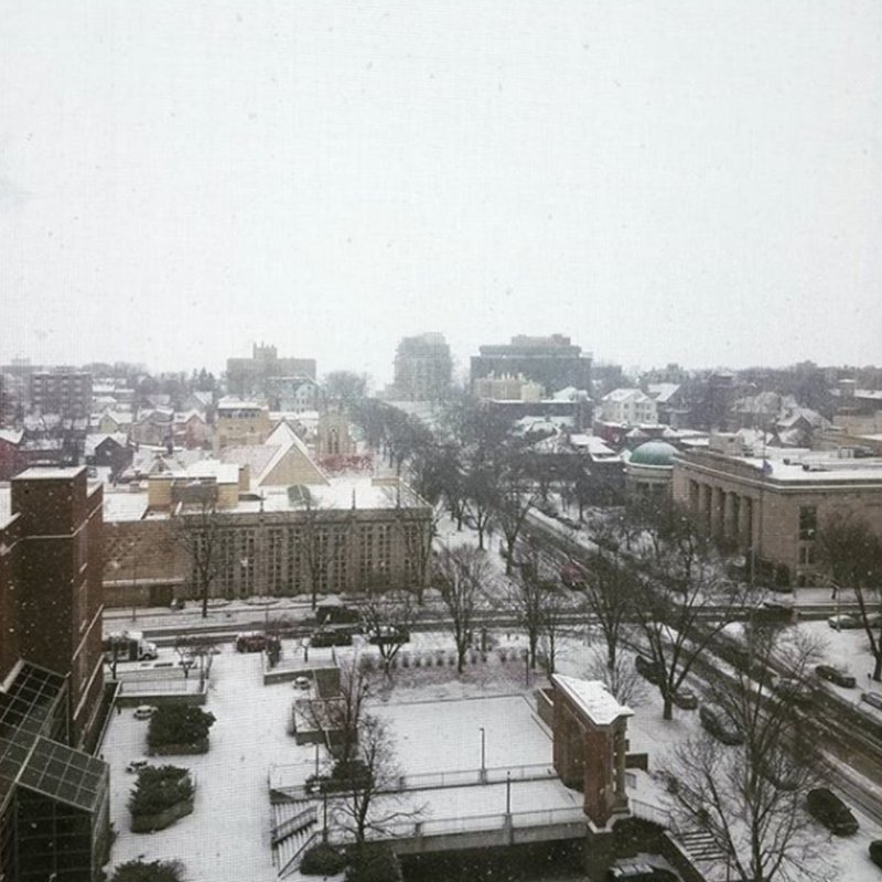 MsnConcourseHtl's tweet photo. Hey! Who shook the snow globe, Madison? ❄️☃️ [📸: Hannah Slovek] #madisonwi #madisonsnow #winterwonderland https://t.co/la5BooXZsr