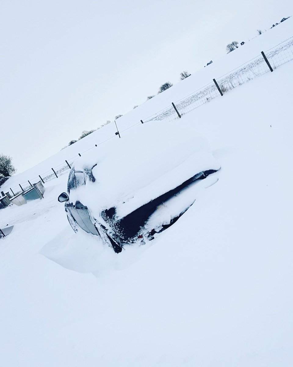 Wee Leon sitting tidy in the snow. Safe to say she wasn't for going far.