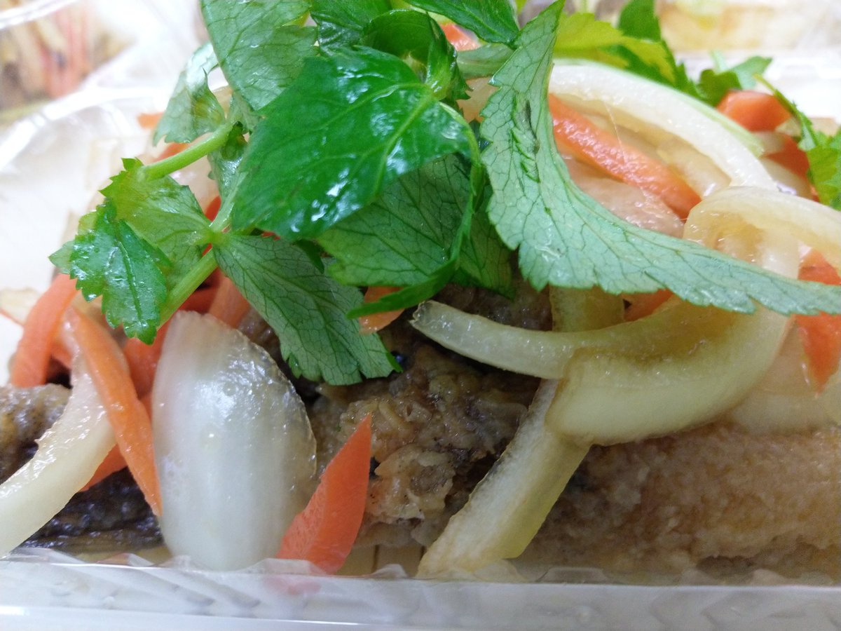 めひかり بحث في تويتر