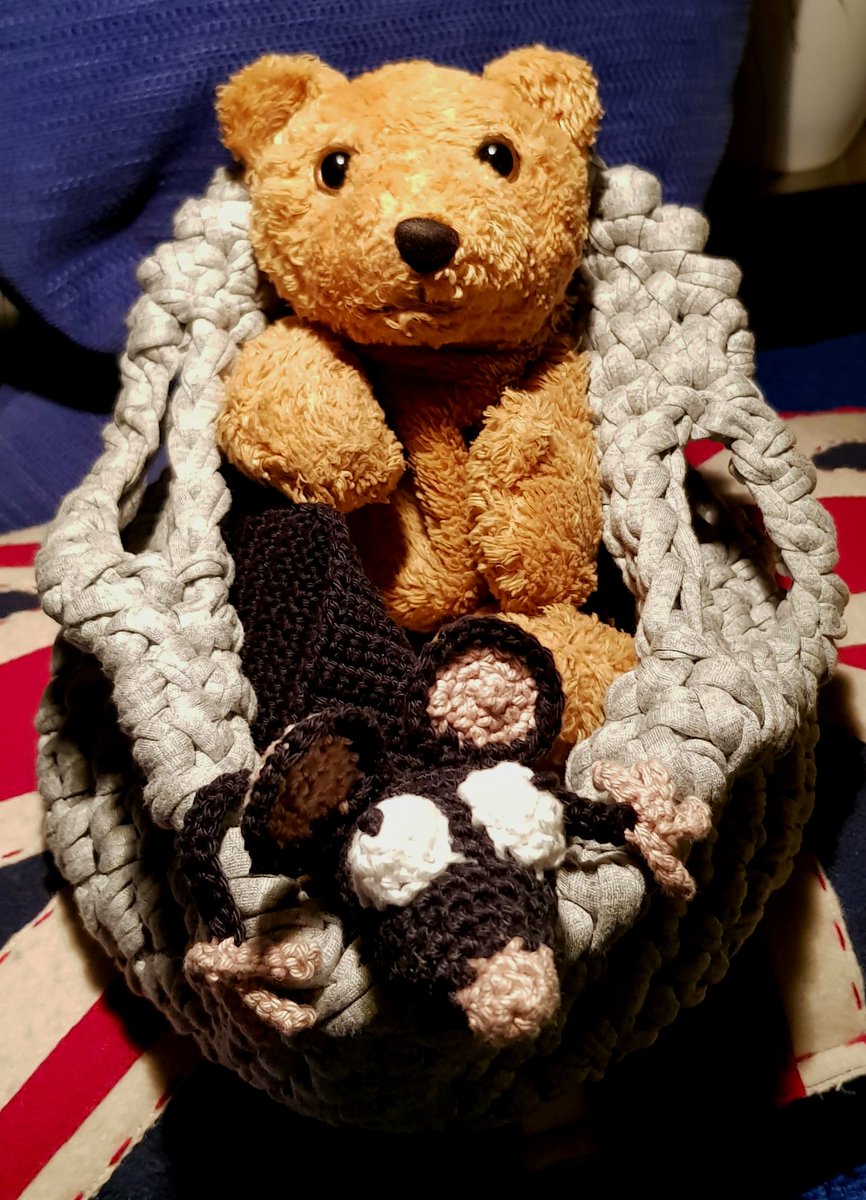 JappTheBear's tweet photo. All I wanted was a frickin' revolving chair and a cat. I mean, is that too much to ask?!! *sigh* #villainbearproblems #FAIL #idiothumans #grrr https://t.co/NlEOEeVA0q