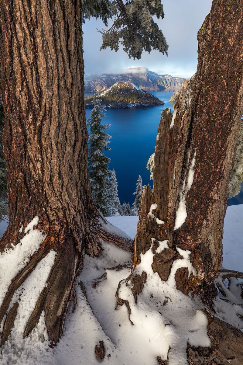 Interior's tweet photo. Everywhere you look, there are stunning views @CraterLakeNPS. Pic by Shayne Strigle #Oregon https://t.co/w1Y49Utb95