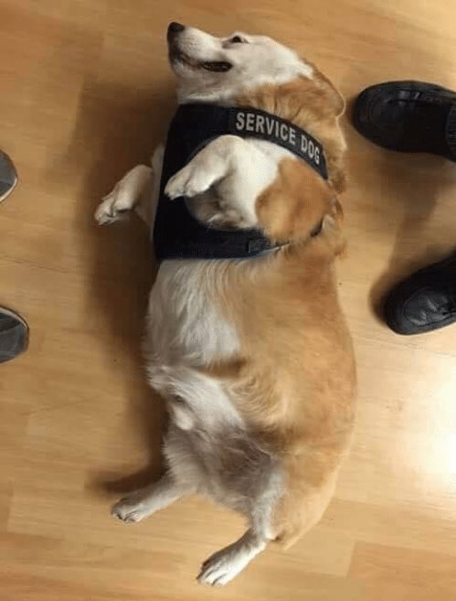 garyfromteenmom's tweet image. ᵗʰᵃᶰᵏ ʸᵒᵘ ᶠᵒʳ ʸᵒᵘʳ ˢᵉʳᵛᶦᶜᵉ