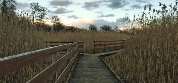 Course correct with confidence: How one company employed #DevOps ideas for their IT transformation #pink18 bit.ly/2D2V0SB