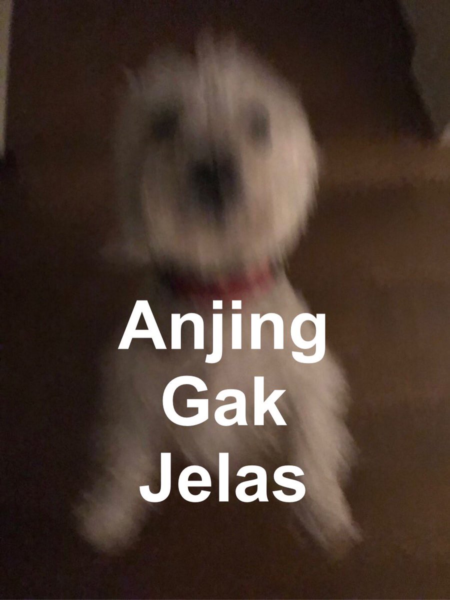 Lona Angrainy Lonaangrainy Twitter Lona Angrainy Lonaangrainy Twitter