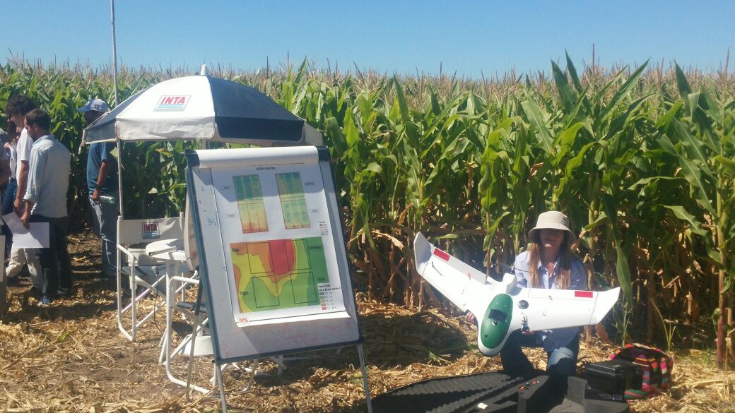 ARFotoAerea's tweet image. Nuestra clienta favorita presentando resultados en INTA de General Villegas  maís tardío. Exitos Cecilia Justo!