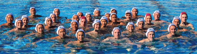 Hot off the press - our Spring newsletter is here! Check out all the great things happening at Patriot Aquatics: bit.ly/2FXHhzD