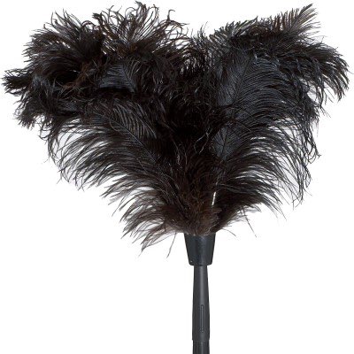 ReadCaseyCarter's tweet photo. Step 1. Put that paddle to skin. Step 2. Rake the fork across the skin you just paddled. Step 3. Brush the skin lightly with the feather duster and watch the sparks fly. Whatβs a #pervertable? You need to watch #caseyatnight tomorrow at 10pm EST to find out. https://t.co/UuJmrhF5Lf