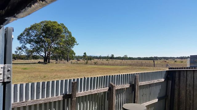 The view over back fence while standing in my packing shed. Awesome day #heyfield #gippsland #nofilter #australianmade #rurallife #rusticfarmhouse #timber #mountains #bloreshill #VicAsh