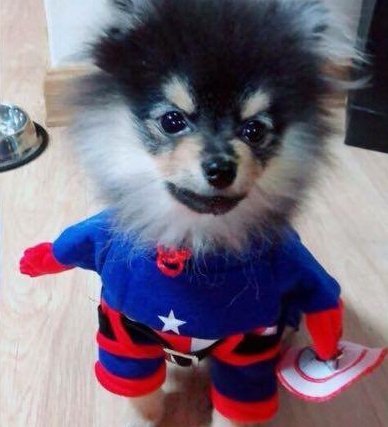 dr3amwithu's tweet photo. #2DaysUntilNBTSVideo
Mannnn fuii trolladaaa
Mas vem fada cubana โค๏ธโค๏ธโค๏ธ
Yeontan para me proteger kkk https://t.co/QErexjmfLi