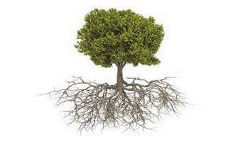 dcmoise's tweet photo. EHS Software Problem #2 - What are the real Root Causes #EHSSoftware #HSESoftware #RootCause https://t.co/qB46gUomgF https://t.co/bsZnRQZaWZ