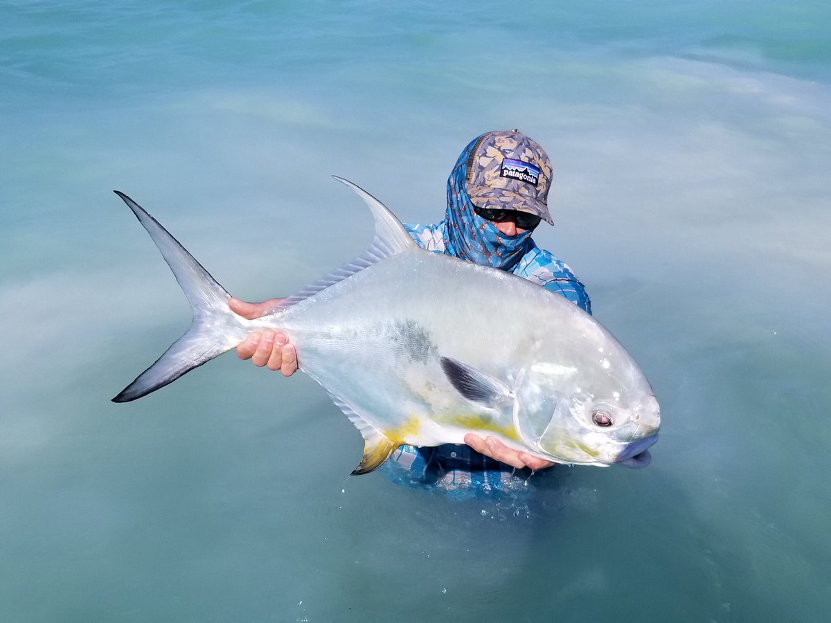 PalometaClub's tweet photo. Dave Huffman with a very nice permit!
He and Drew Miller from Grizzly Hackle are down here for two weeks of hosted trips, and the trip got off to a great start!
#palometaclub #flyfishing #puntaallen #ascensionbay #permitonfly https://t.co/LFe3kfO6x4