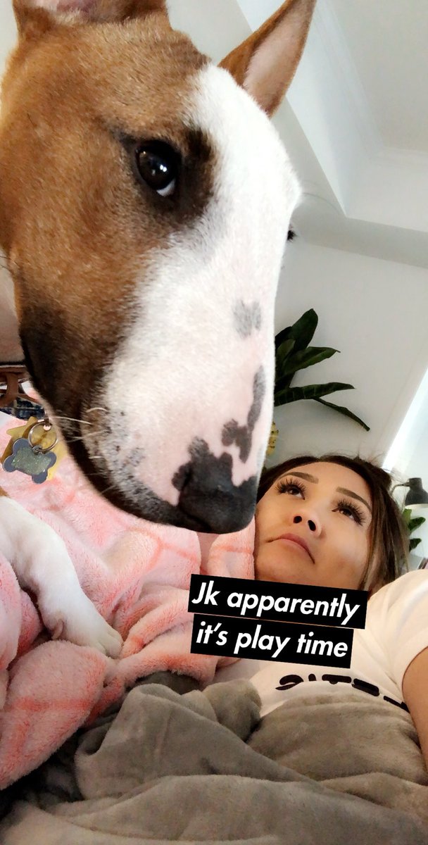 laurDIY's tweet photo. motherhood https://t.co/LPVKjUyn7P