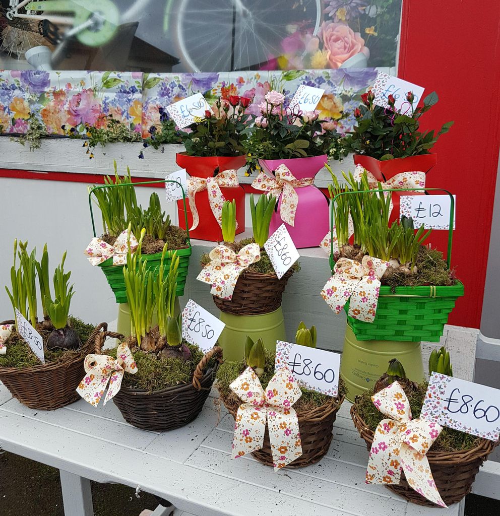 PoppiesFloristB's tweet photo. Planted Baskets ready to go
https://t.co/A9tuY3BAwg
#bournemouthflowers #dorsetflowers creativeflowers #flowerdesigns #flowerdesigner #flowerdesign
#onlineflowershop #onlineflower #onlineflowers #localflowerdelivery #localflowers #localflorist
#poppiesfloristbournemouth #floral https://t.co/Kq3ArmM7wP
