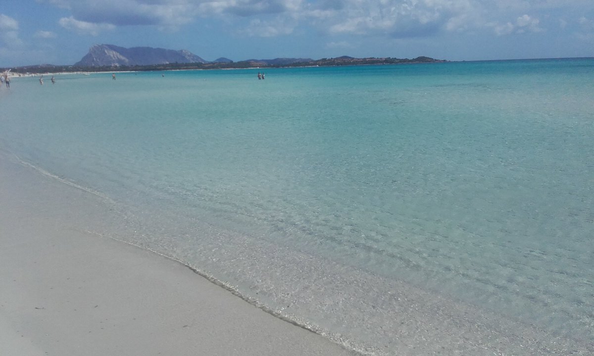 sardegna_di's tweet photo. Lascio  A  voi  il  commento!!#costaorientale #Sardegna https://t.co/OsiYyGu1GY