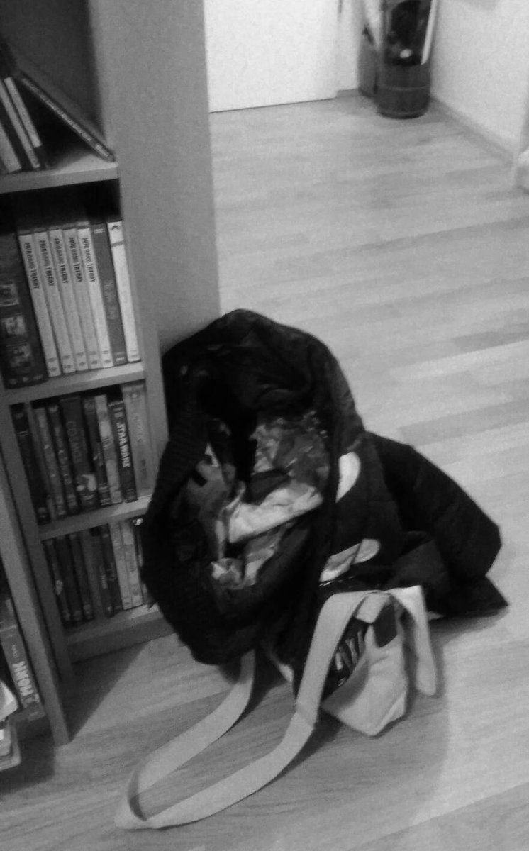 SuperWoman_SWDD's tweet photo. #20180306 #BN #BW #fotodiario #SWzen #Mittwoch #noestoypanadie #struggle #motivation #SWrarita #díasqueno #Iwanttobreakfree #winter https://t.co/nKBN86Sdv7