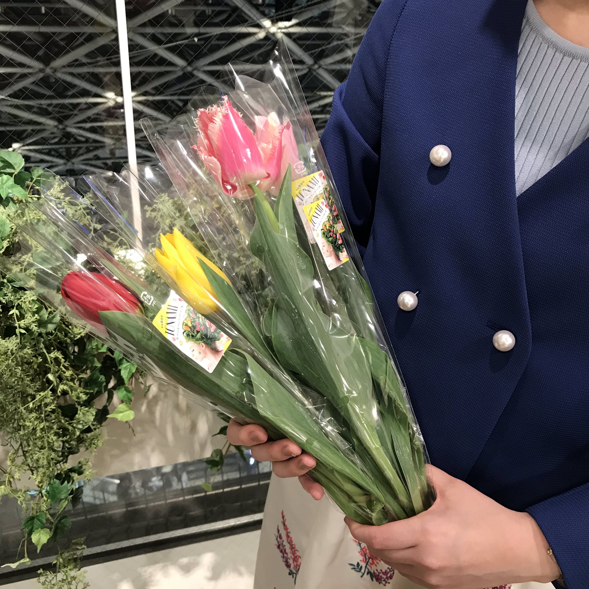 تويتر ルミネ池袋 على تويتر 富山県産チューリップをプレゼント 3 8 木 3 14 水 はルミネ10 Offキャンペーン 現在4fカードカウンターにて 毎日先着100名様に富山県砺波産のチューリップ 一輪 を無料プレゼント中 3 31まで ご希望の方はお気軽に