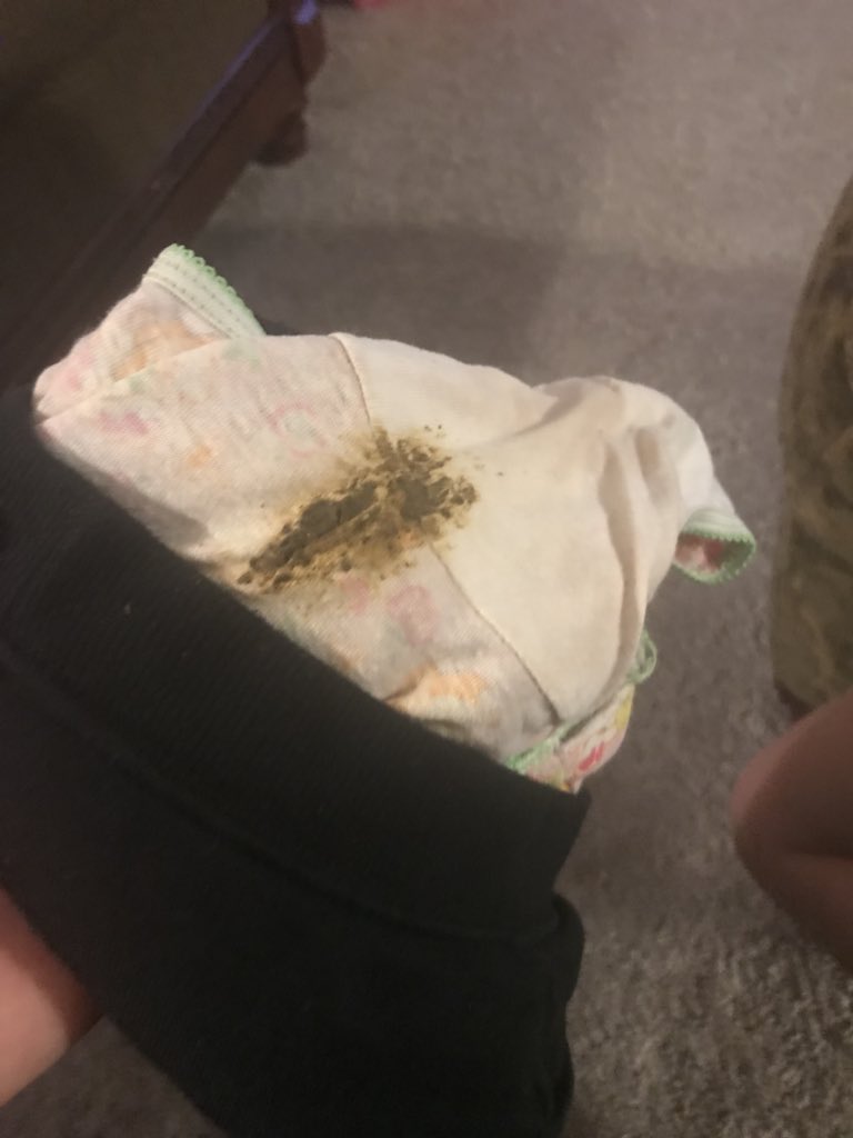 TweetsFromDads's tweet photo. Excellent job by daycare helping a three year old wipe! 👀 💩 https://t.co/VPPfIMyStu