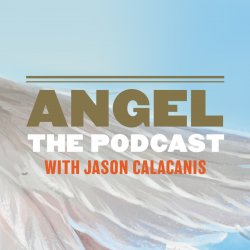 "Angel" hosted by Jason Calacanis: E1: “Angel” Podcast Premiere: Cyan Banister, angel investor now Founders Fund VC, shares portfolio hits/misses, deal flow strategies, finding founder-product fit &amp; backing startups that change human behavior angelpodcast.libsyn.com/website/e1-ang…