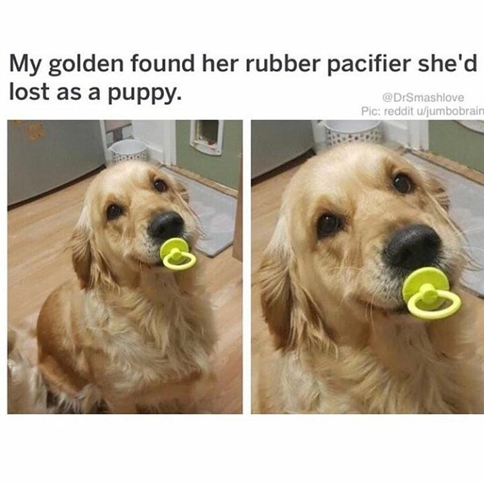 nullifid's tweet image. 