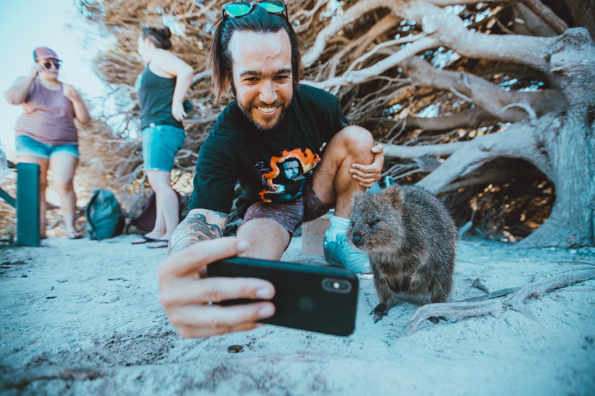 petewentz's tweet image. Imagine if I never met the broskis.