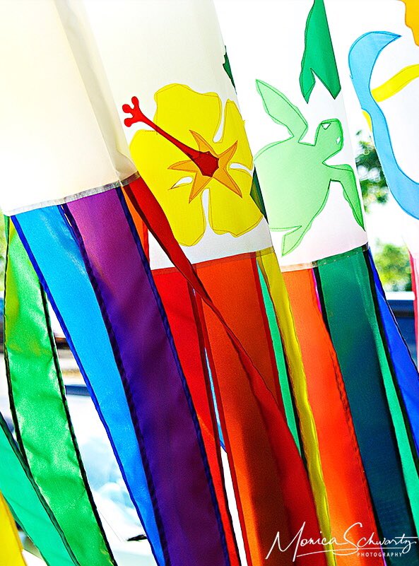 LifeOutOfBounds's tweet photo. Second article in the series by #color expert Diantha Harris @lifepnet “Color: What’s In It For Me?” https://t.co/56MC5T8J0W #colortherapy https://t.co/4U9UzXZZ02