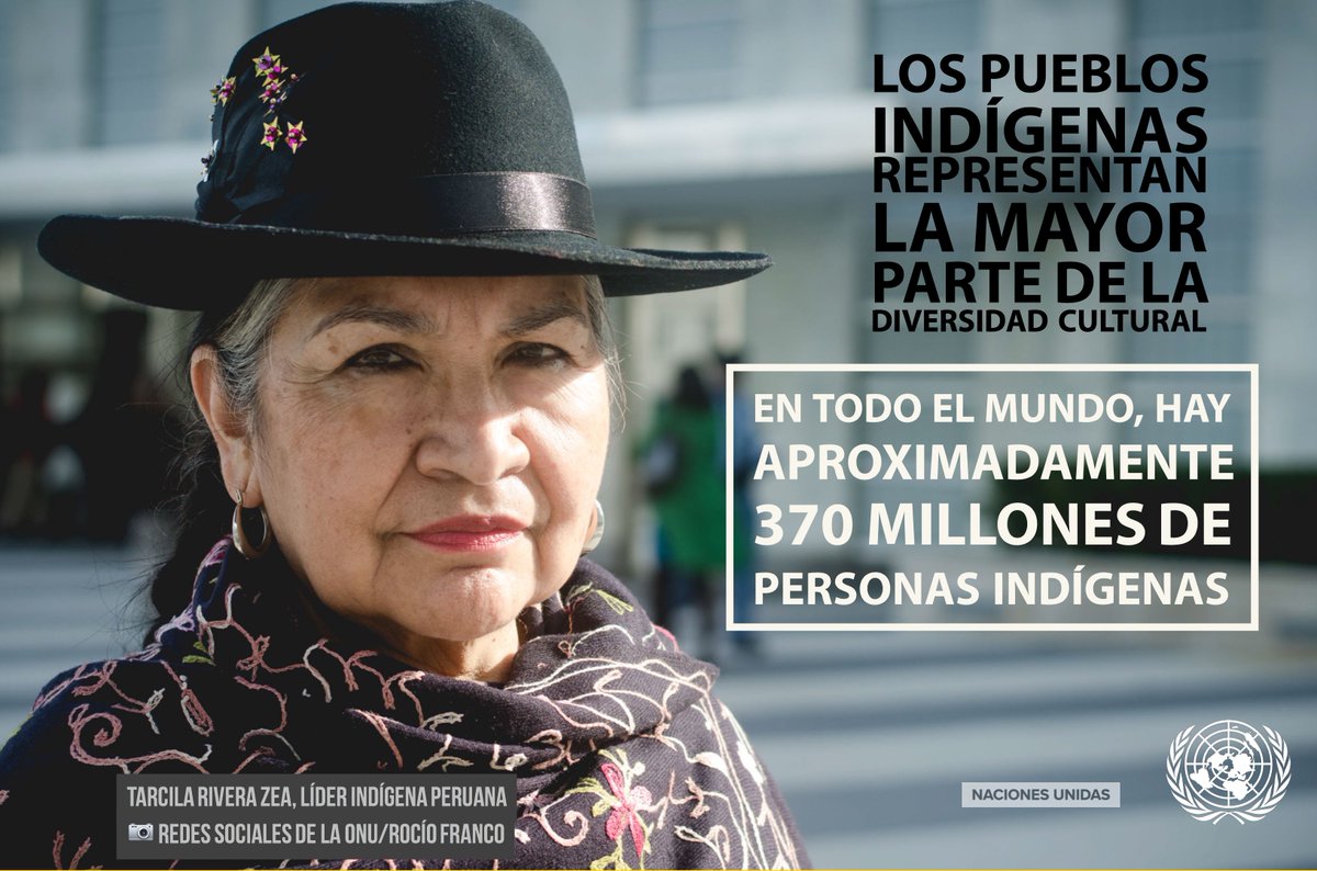 ONU_es's tweet photo. 🔹 Pobreza.
🔹 Violencia.
🔹 Falta de acceso a la tierra.

Las mujeres indígenas afrontan múltiples formas de discriminación.

#AhoraEsElMomento de defender sus derechos.
#DíaDeLaMujer
#SomosIndígenas 👉 https://t.co/hFe1xDeaDT https://t.co/vfX2GbAbLe