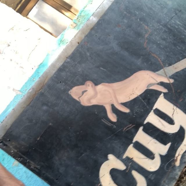GeraldWebb's tweet photo. #BadFoodTruck #squirellOnAStick #movieMakjng #Deinstitutionalized #whatthehell https://t.co/oe7Rc97U26 https://t.co/utD3CwhaHd