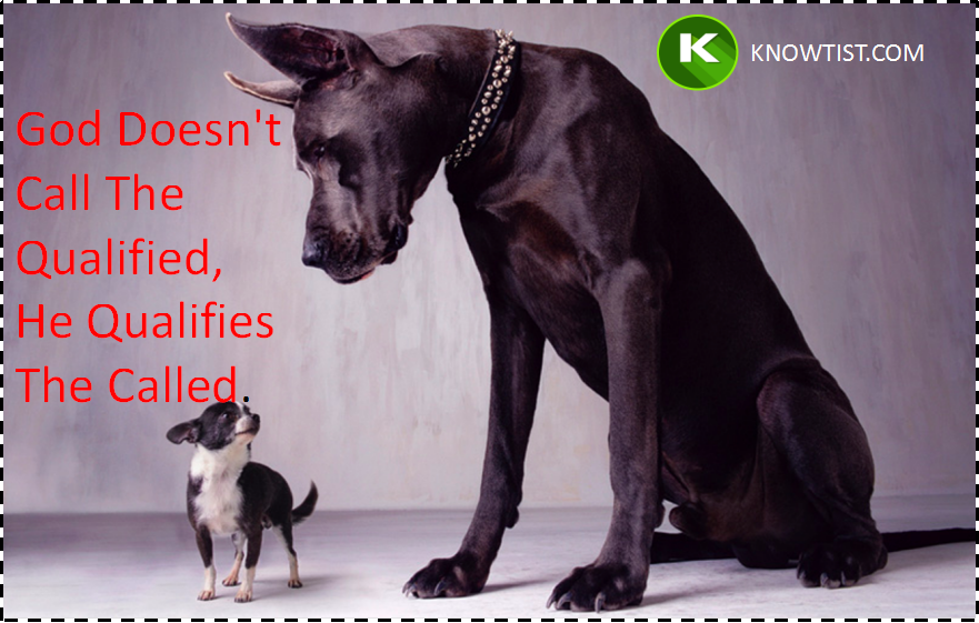 Knowtist tweet picture