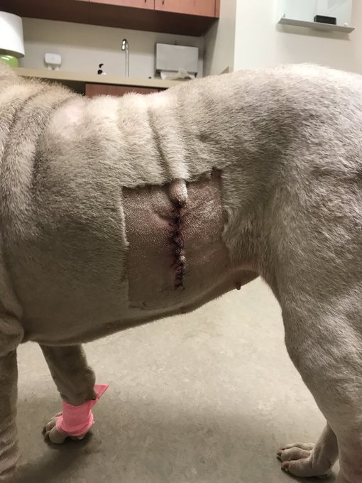 Watch Fauna Grey's leaked NSFW photo on TwXstars