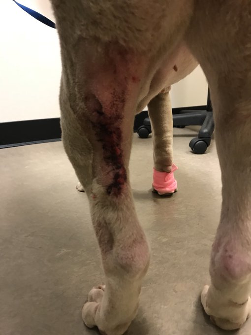 Watch Fauna Grey's leaked NSFW photo on TwXstars