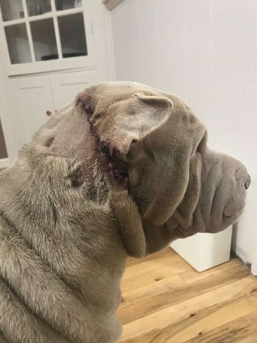 Watch Fauna Grey's leaked NSFW photo on TwXstars