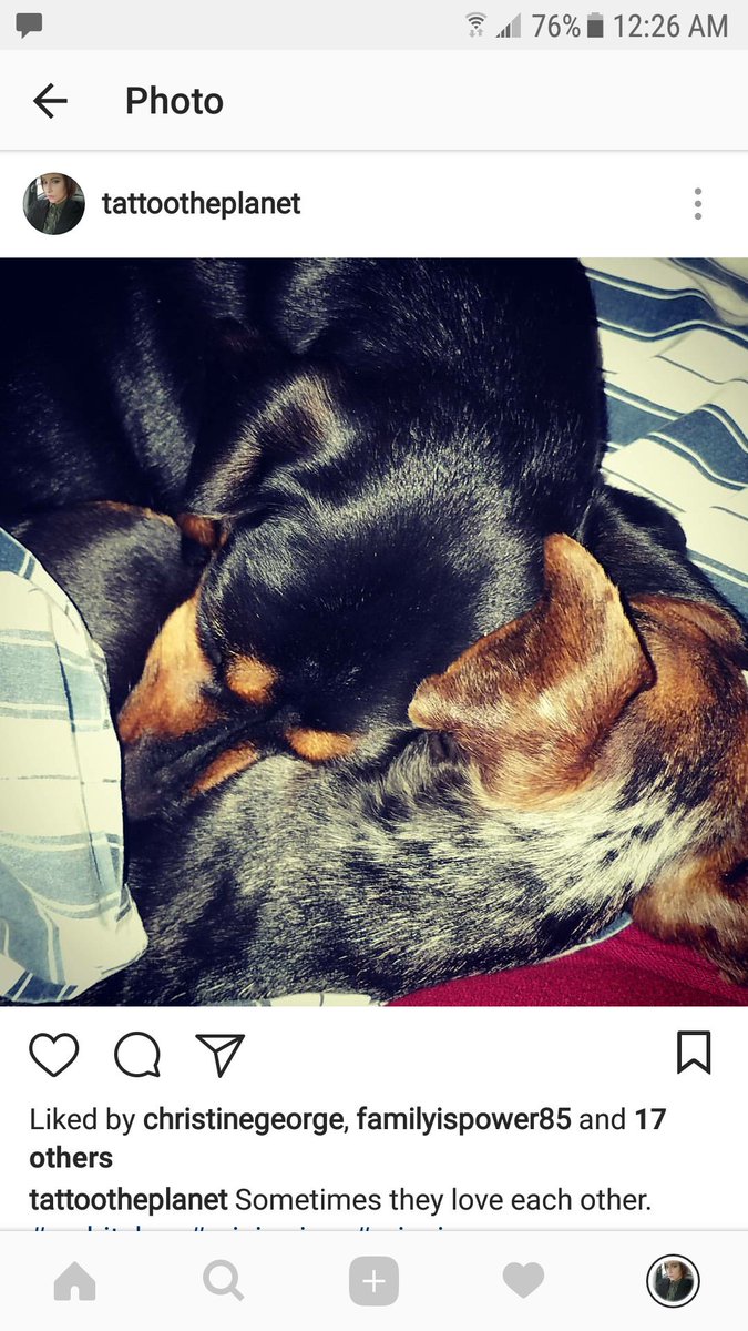 Amanda Hauck tweet media