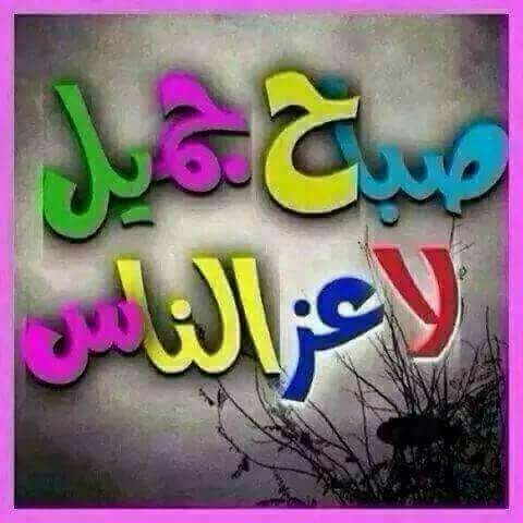 Yousri Abdelfatah (@yousriabdelfat2) on Twitter photo 
