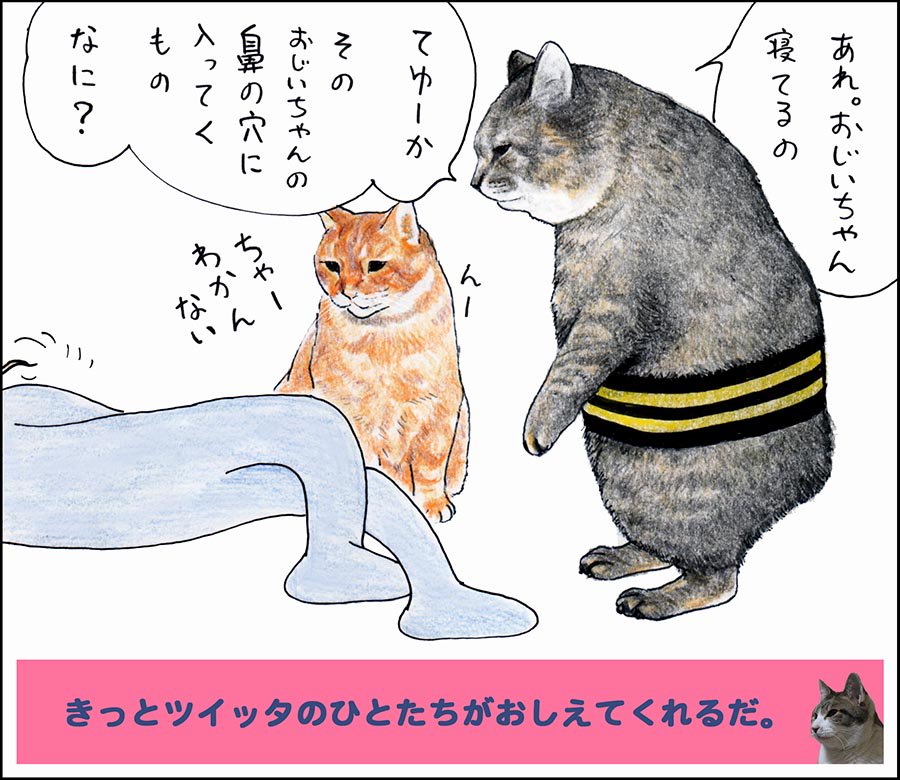 や、どうも。春にカラスさんたちが凶暴なのは、子カラスをてきから守るためなんだって。「わたしおカーさんだから」っていってた。 