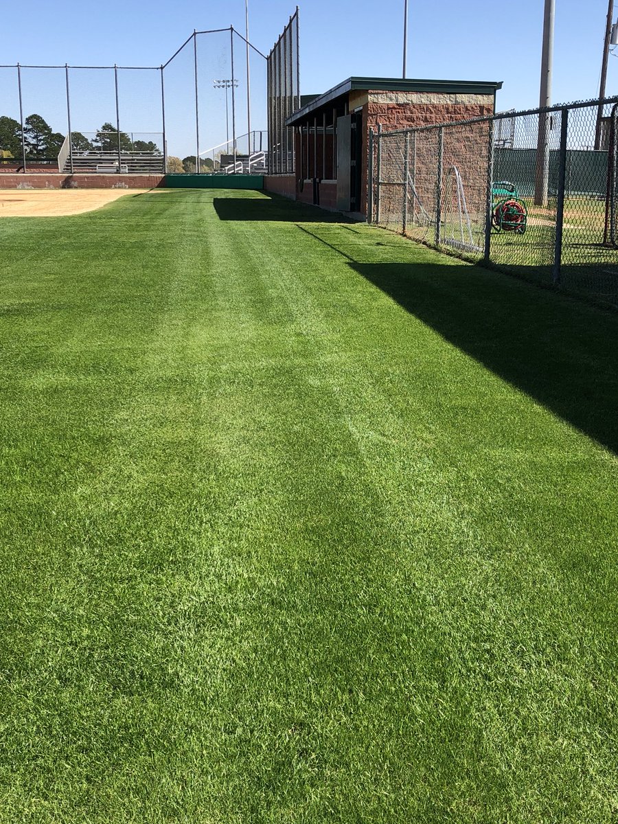 coach_acosta's tweet photo. Field is finally greening up how I had hoped it would! #stilllearning #fieldnewbie #lotsofhours https://t.co/X2wx4APdWl