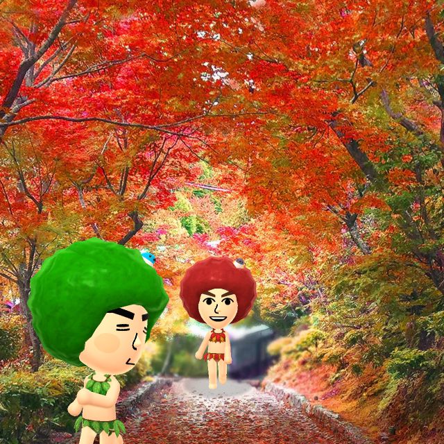 digigapz's tweet image. I'm leaf now
#NintendoEvent
#MiitomoMemories
#Miifoto
#Miitomo