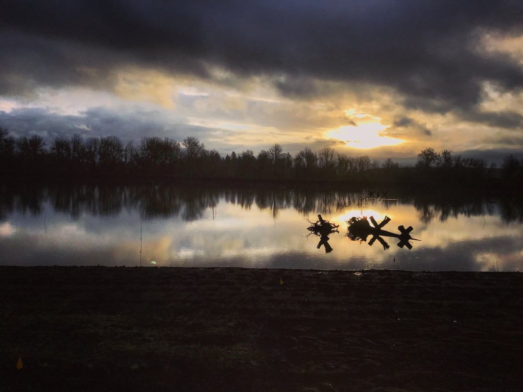 TylerPedersen83's tweet photo. Wordless Wednesday (03/07/18) #nature #photography #inspiration #Oregon #Wordpress #botany #JacksonBottom #wetland #spring https://t.co/x5t9rpHUVP https://t.co/wQVYLAjBcg