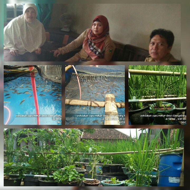 cattelya3's tweet photo. Ppb kab.kuningan,monev kegiatan usha bddy pokd. Cupu mekar ds.ciawigebang kec.ciawigebang @fisheris_ @dpp_ipkani @BudidayaKKP @puslatluhkp https://t.co/ZYwvbubdmG