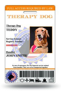 usservice1's tweet photo. Buy #Therapy #Dog #IdCards from Us.

Shop Now - https://t.co/pP9smOJt9X https://t.co/aWbq8EkXQG