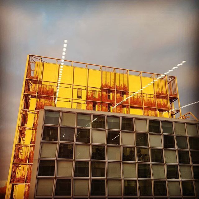 oreillyskitchen's tweet image. Photo of the day (the one and only)
.
.
.
.
.
.
.
#samsung #galaxys8 #officeblock #denhaag #goldenhour #thehague #nl