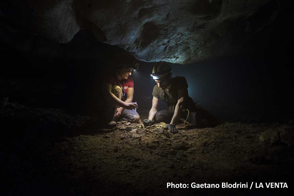 ESA_CAVES's tweet photo. Ve la ricordate la grotta dove siamo stati con @astro_luca lo scorso anno in Sicilia? Le esplorazioni continuano ... https://t.co/5cRXEjxXir @laventaesplora @boegan https://t.co/NufK7ktwfs