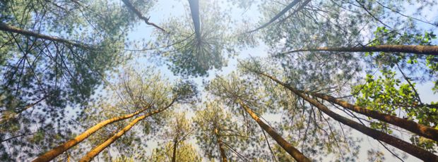 CaroleChabalier's tweet image. HBR France : Comment pratiquer la pleine #conscience durant votre journée de travail ? Par JacquelineTPP et RasmusTPP de #PotentialProject
 owl.li/FIkm30iIzOh #meditation #performance #mindfulness