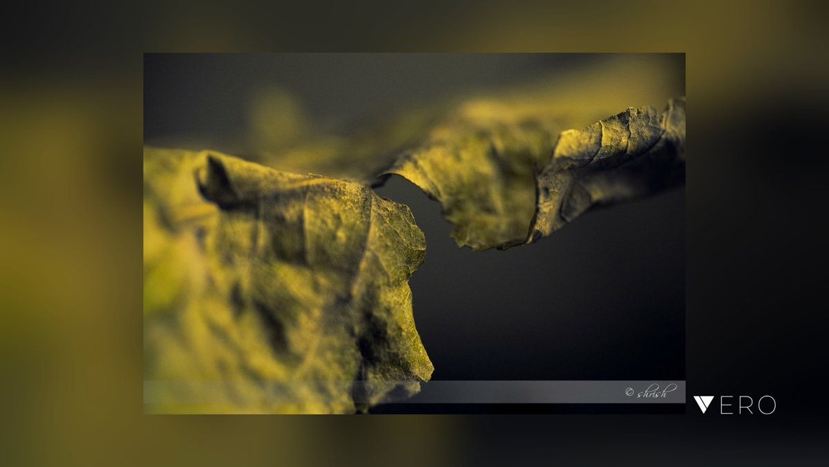 mini__kothari's tweet photo. A thin bond... #sunset #sunset_addict #nature #naturephotogallery #photo #photography #photography101 #landscape #landscape_addicts #silhouette #people #people_and_world #family #photography4life #beach #beach_addict #beach_addiction #di… @VeroTrueSocial https://t.co/f8RFVvUCnG