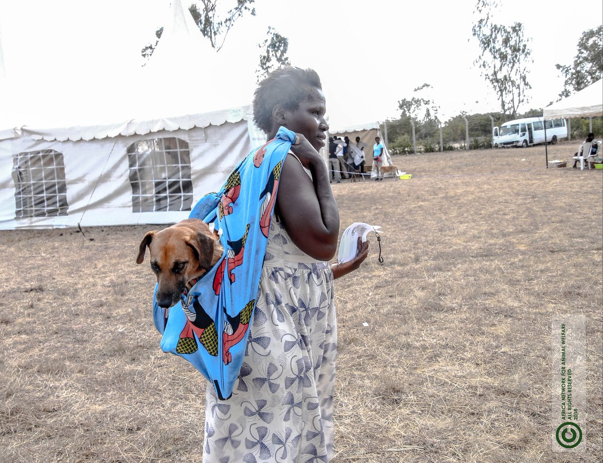 anaw_africa's tweet photo. "I am here when you need me 😍" #Petlove She couldn't let her sweet dog walk after a long recovery from #SPAYNEUTER Surgery ❤. #loveiskind #loveyours #loveislove #loveisnotweakness #dog #doglover https://t.co/4hQU09MdRA