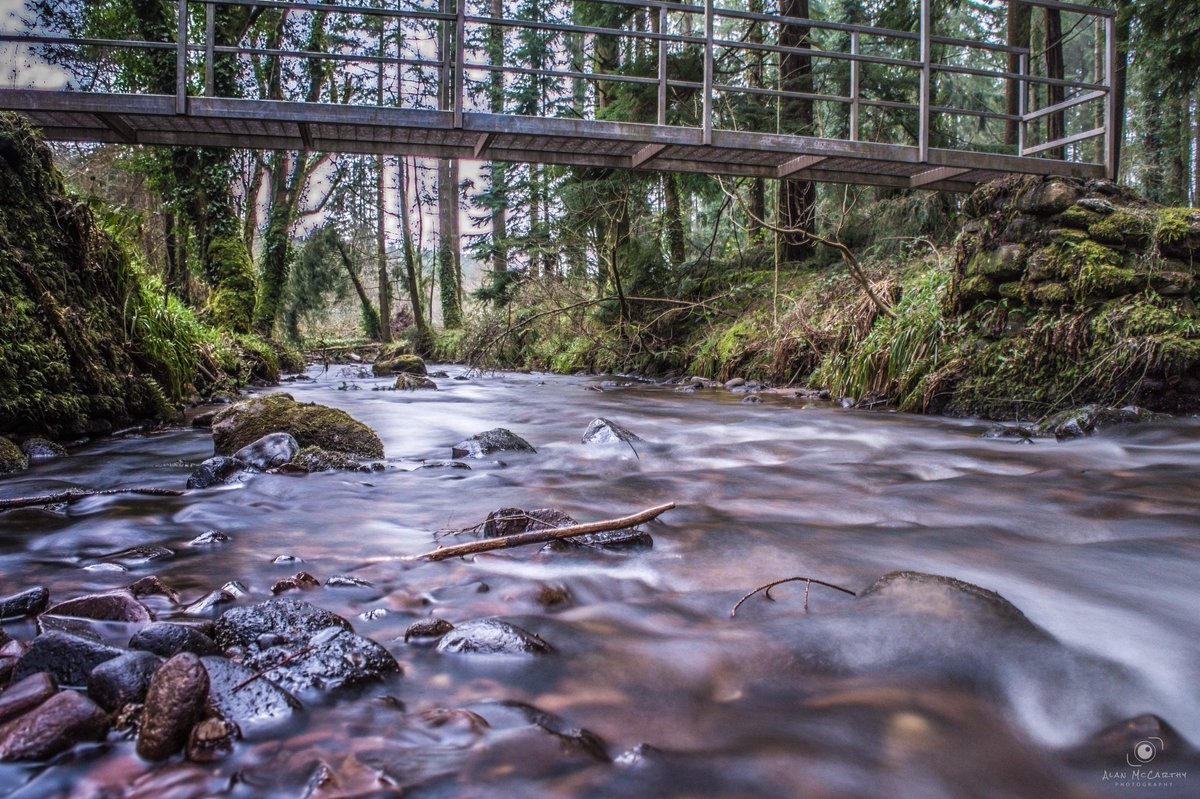 AlanMcPhotos's tweet photo. Long exposure shot in Glenanaar 
.
.
.
.
#Fs_Longexpo #longexposure #lazyshutters #nightphotography #longexposureoftheday #global_hotshotz #ic_longexpo #magicpict #longexposurephotography #dream_image #longexpohunter #limerick #ireland https://t.co/dumgd11jmD