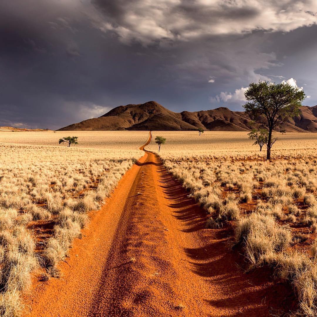 PictoricNamibia's tweet photo. Mention ONE word to describe this beauty?
#ShareMyNamibia
#Namibia https://t.co/3rIelVudNg