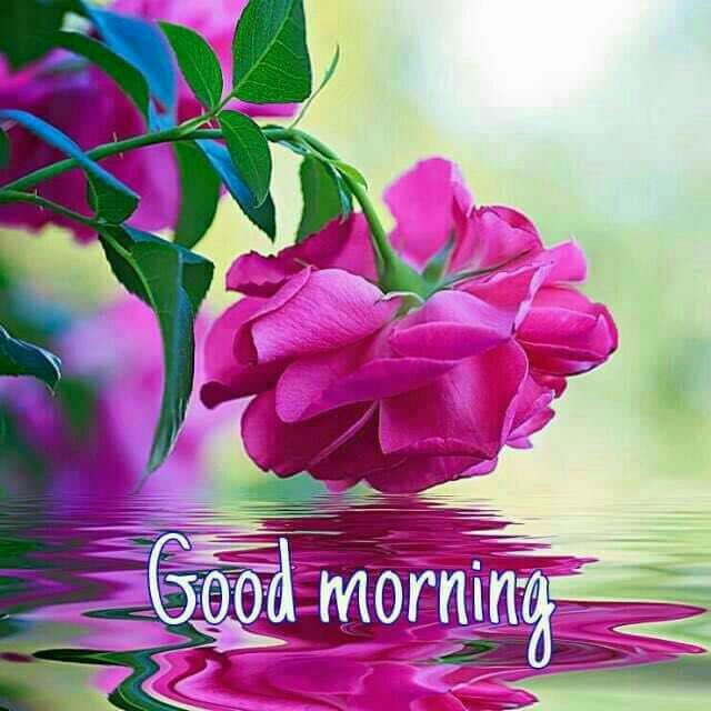 @@@@Vivek kumar@@@@ (@vivek_oberoi) on Twitter photo 