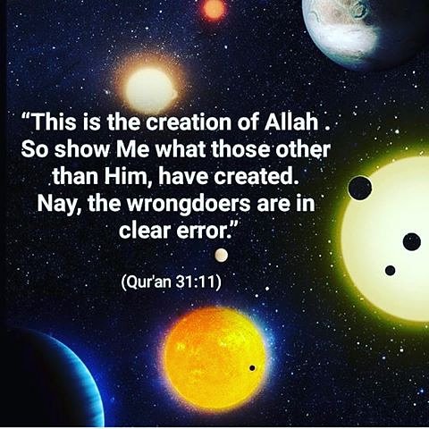 TNTJOfficial's tweet photo. #tntj_dawah https://t.co/LBHt4NBSYv