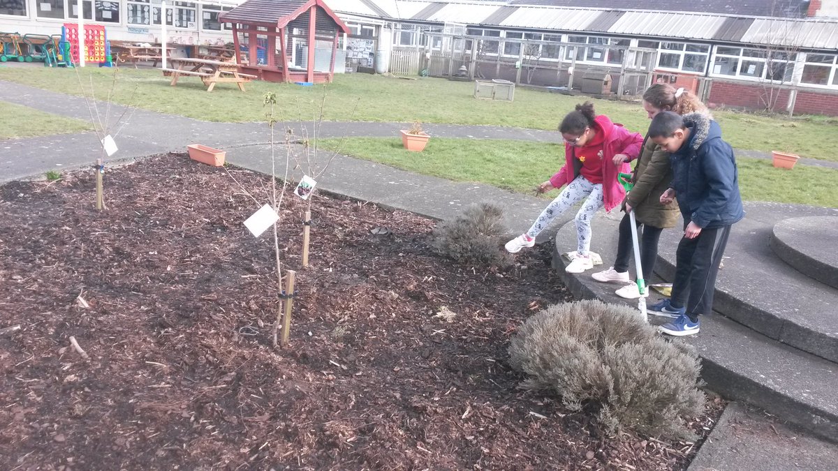 year4_bp's tweet photo. Now where can we plant these? Diolch yn Fawr Dosbarth Pedwar! https://t.co/jqZ97nSyO2