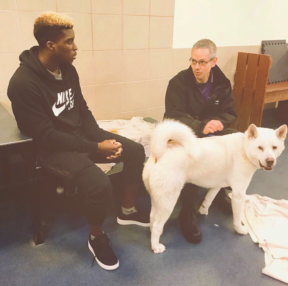 Sheyi Ojo tweet media